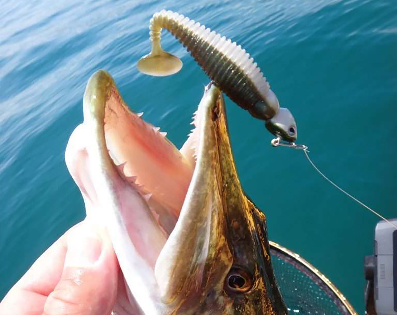 Lunker City Grubster 7 cm